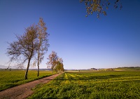 Foto 01